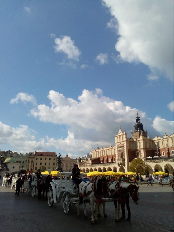 Margo Guest Rooms Краків Екстер'єр фото
